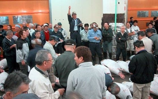 תרגום מסמכי מכרז מעברית לאנגלית
