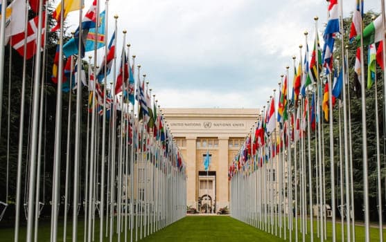 שש השפות הרשמיות של ארגון האומות המאוחדות